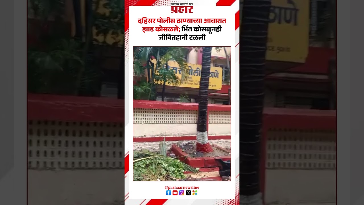 Dahisar | दहिसर पोलीस ठाण्याच्या आवारात झाड कोसळले; भिंत कोसळूनही जीवितहानी टळली |