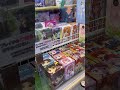 100円だけやったら……終わりが綺麗すぎた【クレーンゲーム】
