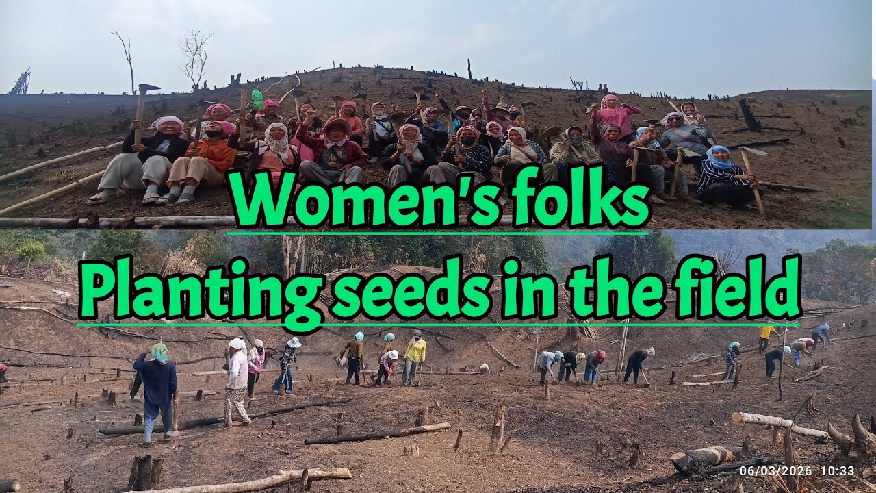 Planting seeds in the field|Women's folks