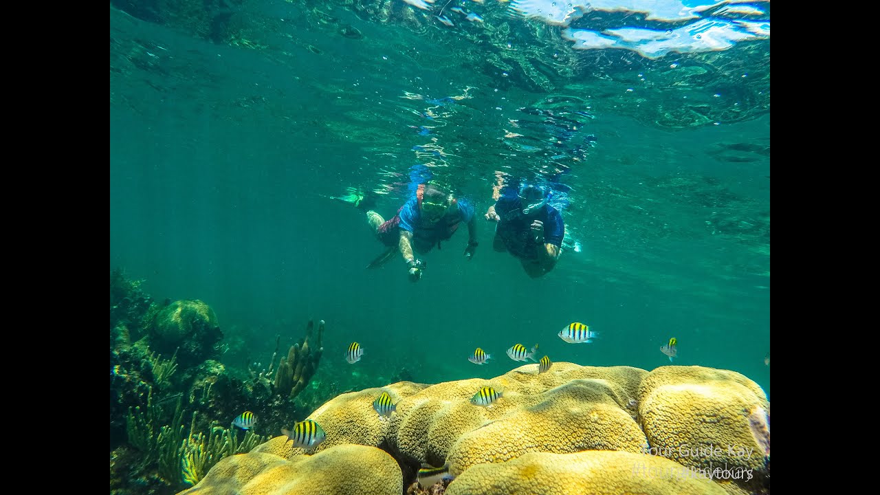 Playa Del Carmen Private Snorkeling Tours Playa Del Carmen Private Snorkeling Tours