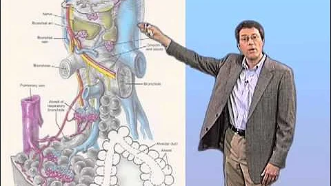 John McKinney: Tuberculosis Infection
