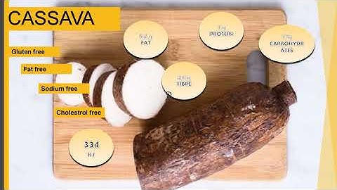 PowerPoint Presentation on Sago Processing (under PMFME Scheme) - ENGLISH