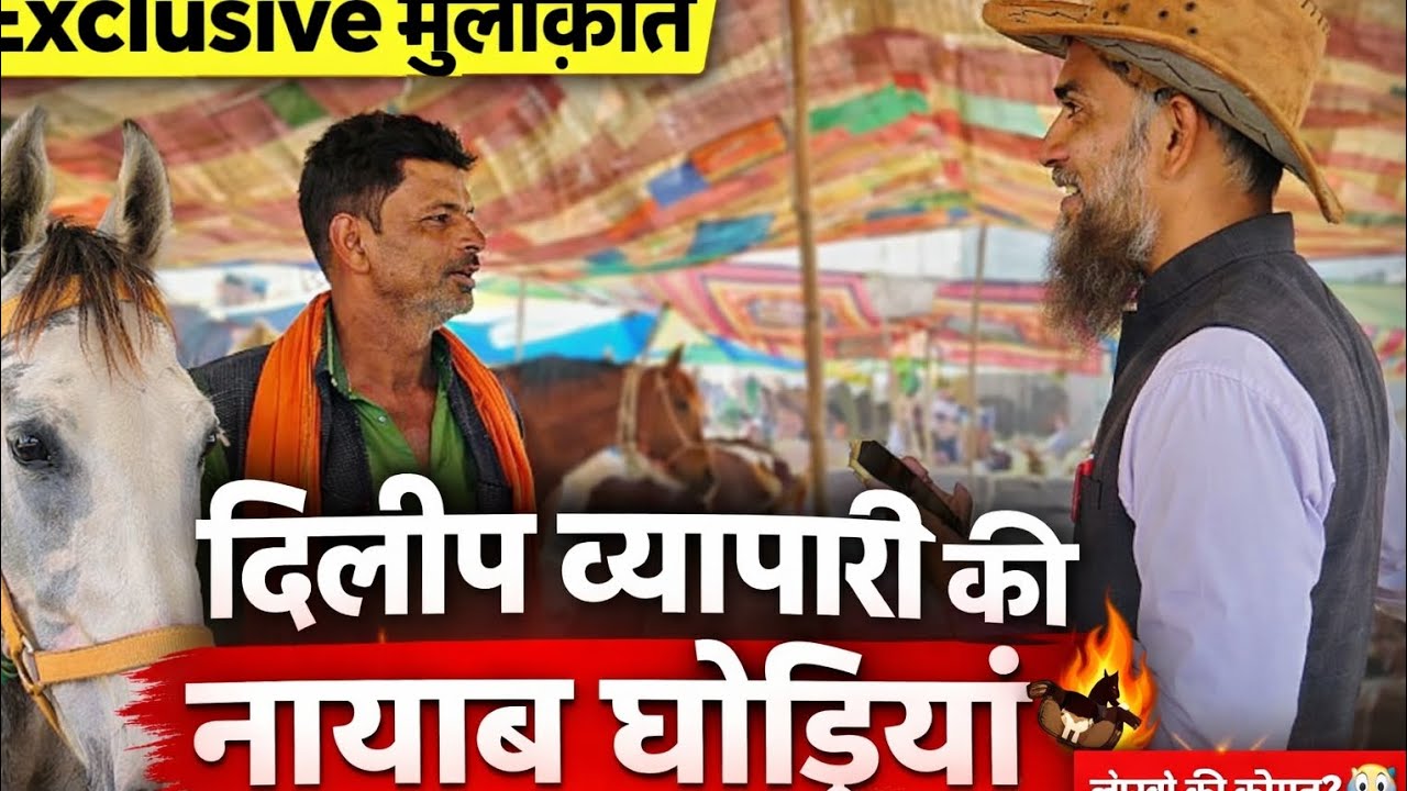 दिलीप व्यापारी की नायाब घोड़ियाँ अब ब्रह्मपुर में! 🤩🐎