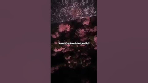 My BIRTHDAY Wishes............!! 🎂💐💗 | #Auroraxtics07 #aesthetic #shorts #fyp #edit #trending #viral