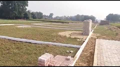 #bihta patut IIT k pass