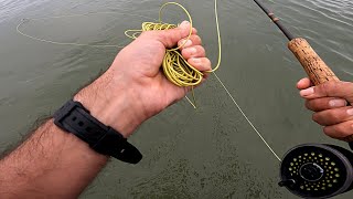 FLY LINE MANAGEMENT & CASTING - How to Fly Fish with No Stripping Basket 