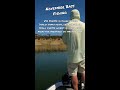 November Bass Fishing Tips #12