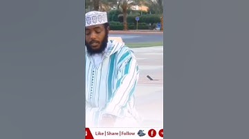 ما تيسر من سورة القيامة برواية الدوري عن الكسائ