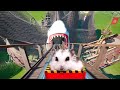 Hamster in roller coaster maelstrom with shark