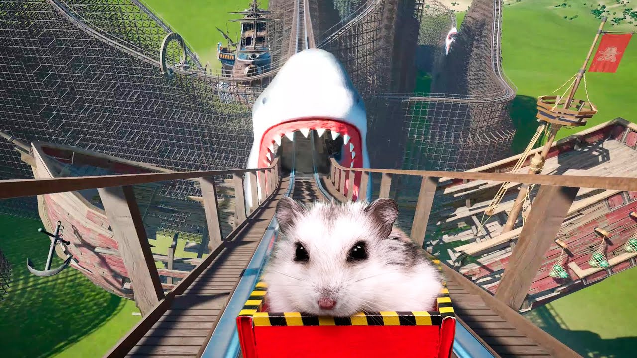 Hamster roller coaster