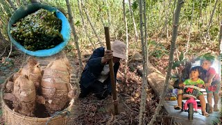 ไปไร่กับหลานขุดเผึอก ลาบหมาน้อย//ໄປໄຮ່ກັບຫລານຂຸດເຜືອກ ລາບໝານ້ອຍ