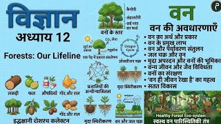 Class 7 Science Chapter 12 | Forests: Our Lifeline 🌳 Full Explanation Hindi