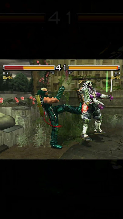 the Ninjutsu Battle (Tekken 5)