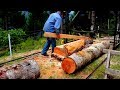 Milling a Douglas fir tree using a home made twin blade sawmill