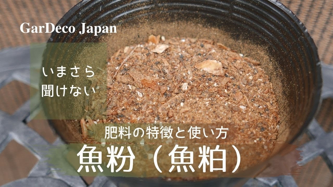 いまさら聞けない 魚粉肥料の特徴と使い方 有機肥料 Youtube