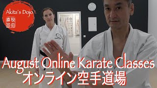 Akita&#39;s Dojo Online Karate Classes   HD 1080p