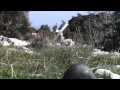من اجلك يا حلب من اجلك يا حلب