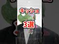 キッショ3選 #ねをん #嘘クラテス倉重 #スマブラsp