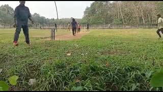 Soft ball cricket ❤ screenshot 2