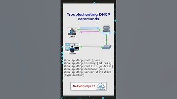 Troubleshoot DHCP like a pro! #ccna #networking #dhcp #cisco #router #techshorts #tutorial #viral