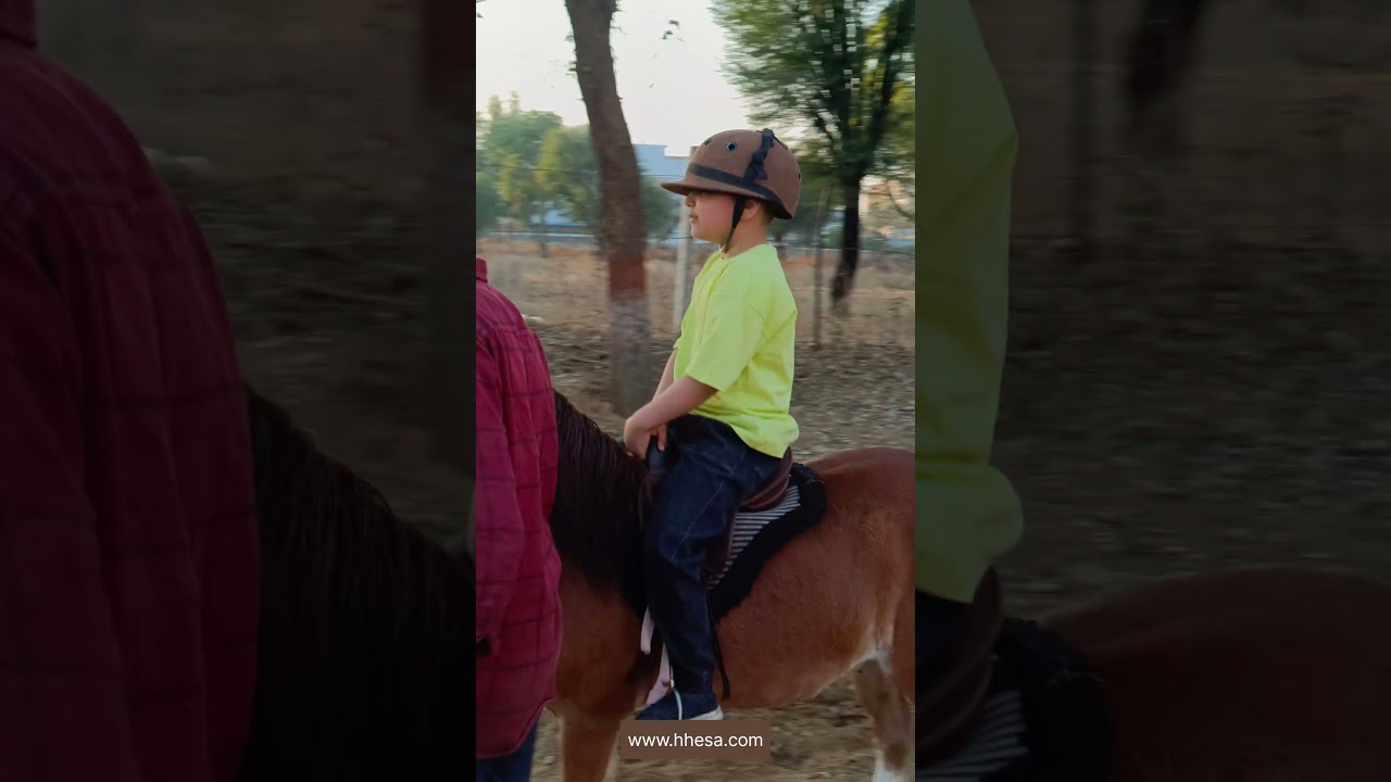 Horse Heaven Summer Camp 2025 | Horse Riding Fun in Jaipur! 🐴 | Heaven Equestrian Sports Academy