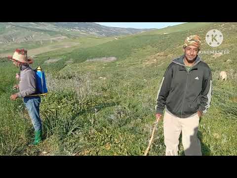 اليوم خرجنا  افوجنا🌺🌺حنا والعائلة ديالنا صغيرة 😍😍 أحلى خرجة 😍😍😍