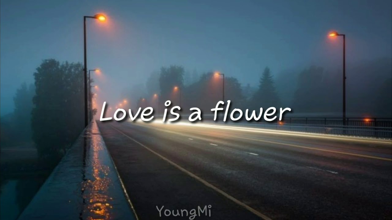 Colde Love is a flower (Sub. Español) YouTube