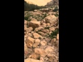 نبعت العوجة