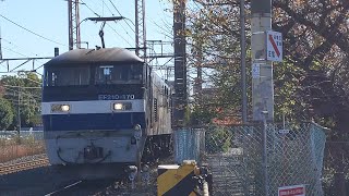 【桃旧塗装牽引4095レ】JR貨物 EF210-170号機+コキ17B 新A211仕業[4095レ] 千葉貨物行 小田第三踏切通過！