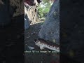 MY LEG #theislegame #theisle #theisleevrima #dinosaurgames #dinosaur