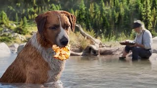 كلب بيلاقي دهب كتيير في البحيرة بالصدفة ، وبيخلي صاحبه ملياردير ! ملخص فيلم The Call Of Wild