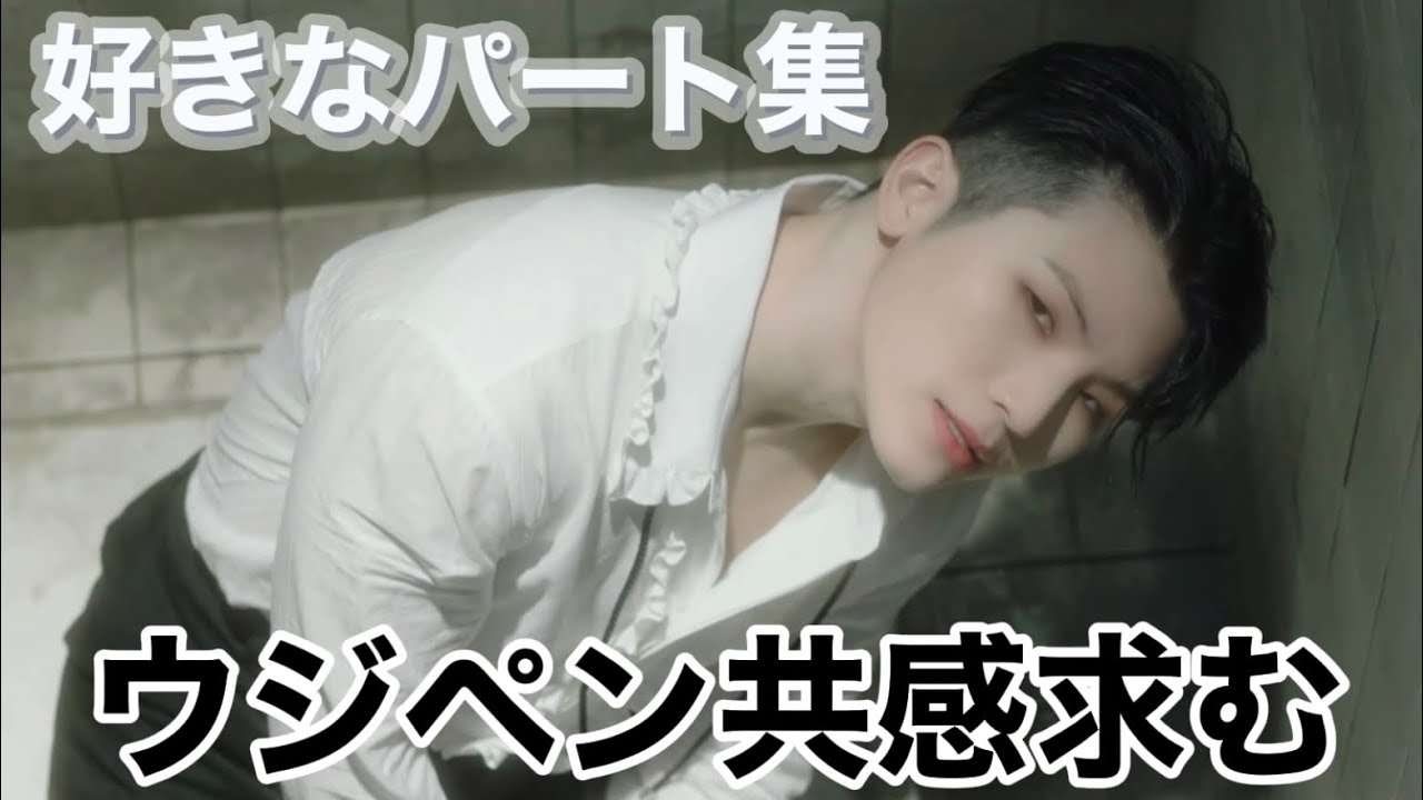 【好きなパート集】ウジペンなら共感してくれるはず［SEVENTEEN/セブチ/ウジ］