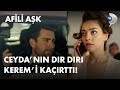 Ceyda, Kerem'i kaçırttı! - Afili Aşk 37. Bölüm