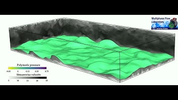 Newtonian stratified turbulent channel flow (DNS, Re=300)