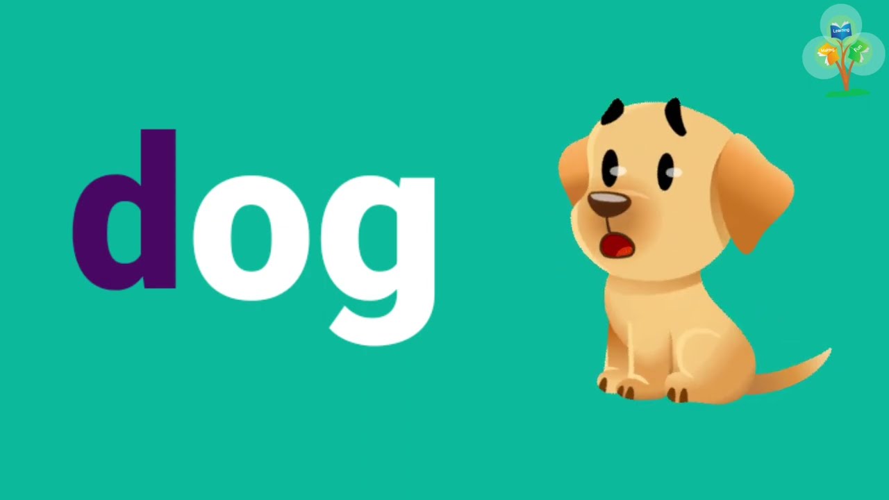 og family words ।। Three letter words ।। Phonics Sounds