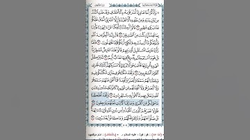 تلاوة ماتيسر من سورة الأحقاف 🌿🌿🌺🌷🌷