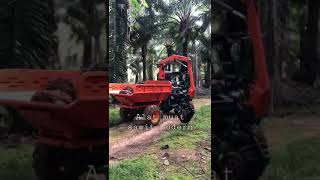 shorts  Alat Muat Tbs Kelapa Sawit Modernpetanisawitkelapasawitperkebunansubscribe