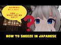 How to sneeze in Japanese!
