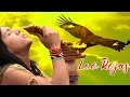 The best of leo rojas leo rojas greatest hits full album 2023