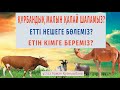 Құрбандық малын қалай сояды ж/е етін қалай үлестіреді? ұстаз Арман Қуанышбаев