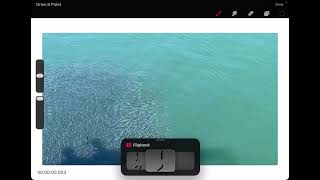 Procreate Dreams: Importing Video