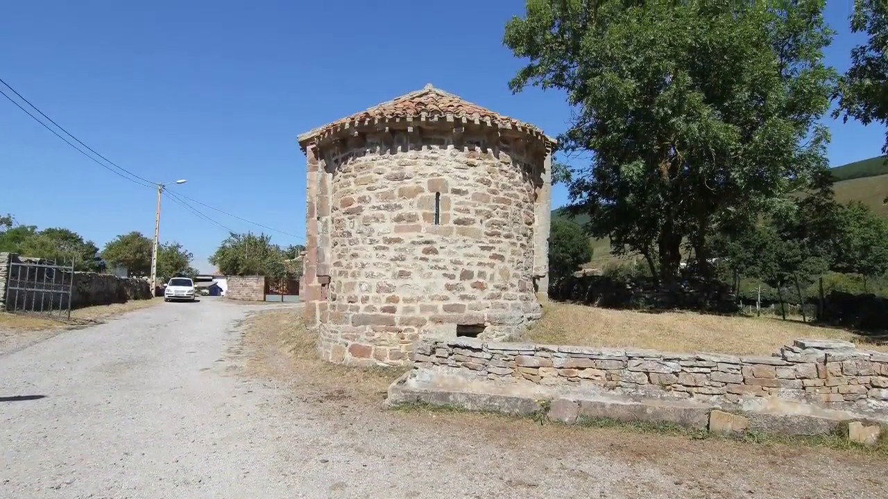Olea