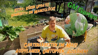 Gartenarbeiten Im Mai! Auspflanzen, Umtopfen, Aussähen! EXTRA: Küken Update!