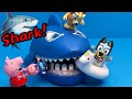 Bluey and peppa pig learn sharks sharks and more sharks 