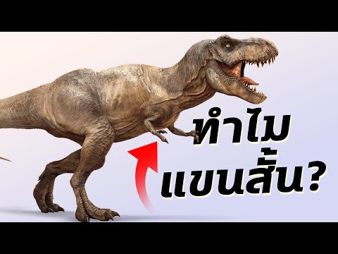 ทฤษฎีใหม่!เผยสาเหตุทำไมT-Rexถึงแขนสั้น - Mystery World