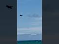 First Flypast of 2025 #fox3media #aviation #f35 #f35lightning #f35lightningii #avgeek #airforce