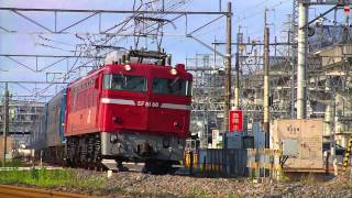 ＥＦ８１－８０＋２４系　　試９５０２レ