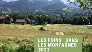 Les foins à la montagne 2021