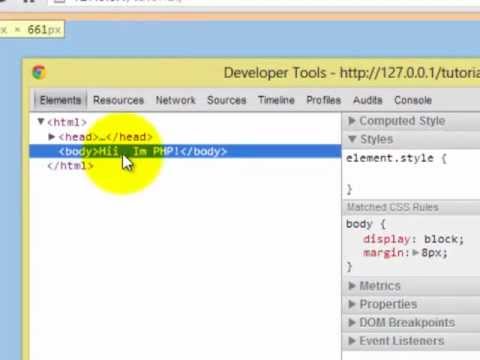 PHP - Installation of Web Server[WAMP] - Tutorial #3 [English]