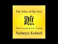 [April 29, 2024 Nobuya Kobori Release Single] The Soles of My Feet (蹠) Piano Instrumental Version